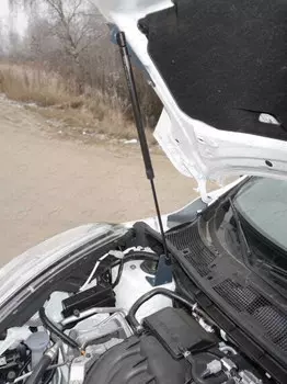 Упор капота TCC-Тюнинг NISJUK2WD14-10Y Nissan Juke 2014-