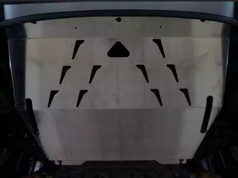 Защита картера двигателя и КПП, алюминий (V-1,6; 2,0) АВС-Дизайн 08.18ABC Ford EcoSport (1G) 2014-