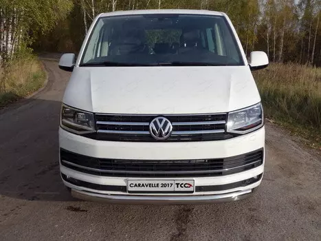 Защита передняя нижняя (овальная) 75х42 мм Компания ТСС VWCARAV17-22 Volkswagen T6 Caravelle 2015-