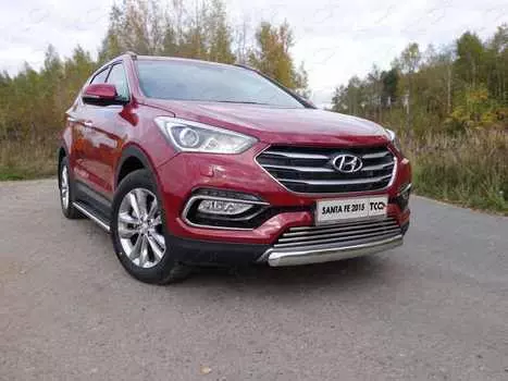 Защита передняя нижняя (овальная короткая) TCC HYUNSF4WD15-04 Hyundai Santa Fe 2018