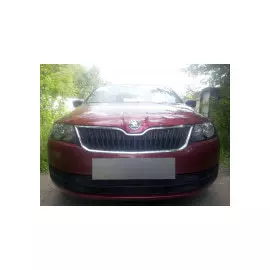 Защита радиатора, чёрная Allest SKRAP.black Skoda Rapid 2014-