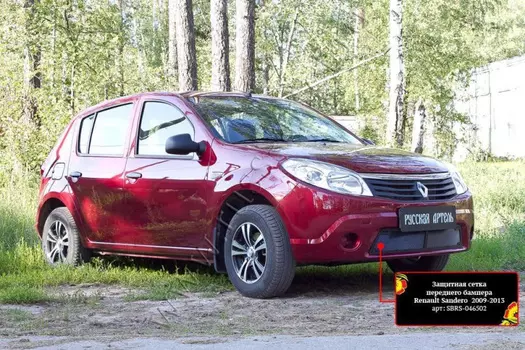 Защитная сетка и заглушка переднего бампера Русская Артель Renault Sandero 2009-2013