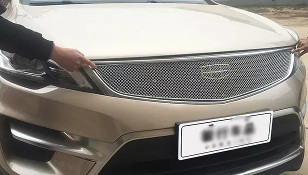 Защитная сетка радиатора для Geely Emgrand GS (2019, 2020, 2021)