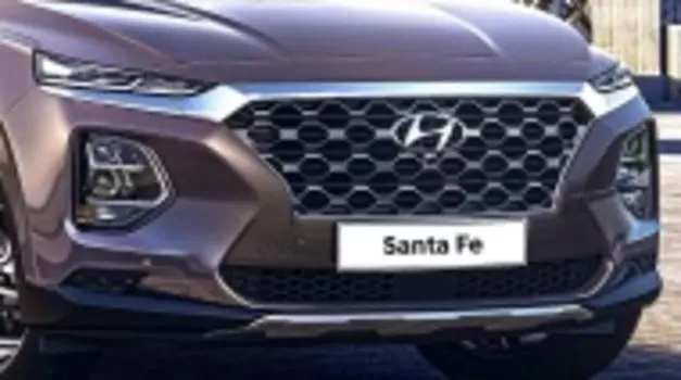 Защитная сетка радиатора, оригинальная для Санта Фе 4 (Hyundai Santa Fe 2018 - 2019)