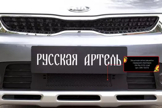 Защитная сетка решетки переднего бампера