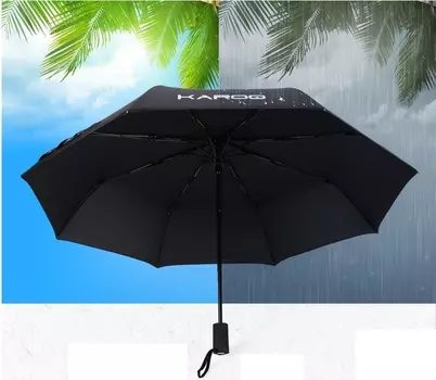 Зонт (надпись "Karoq") Skoda Karoq 2020 (Шкода Карок)