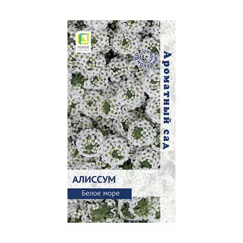 Алиссум Белое море Поиск 0,1 г