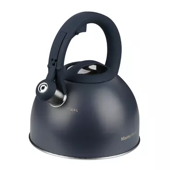 Чайник со свистком нержавеющая сталь Master House Antonio 2,4 л графит