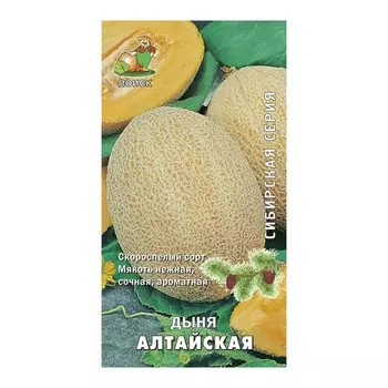 Дыня Алтайская Поиск 15 шт.