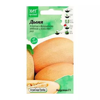 Дыня Августин F1 Агросидстрейд 5 шт.