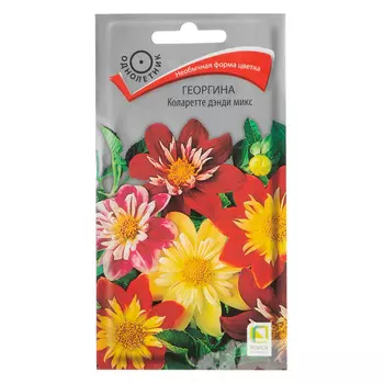 Георгина Коларетте дэнди микс Поиск 0,3 г