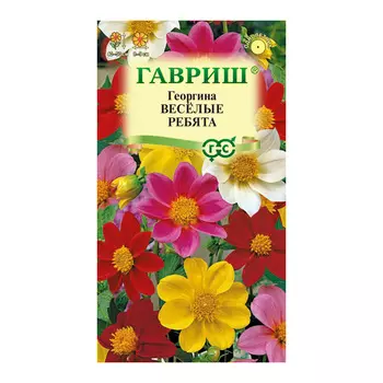 Георгина Веселые ребята Гавриш 0,3 г