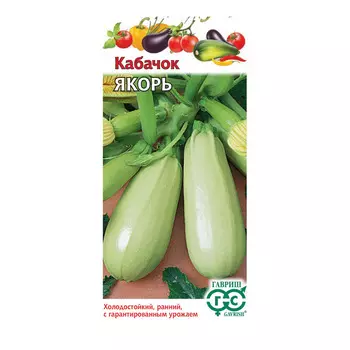Кабачок Якорь Поиск 2 г