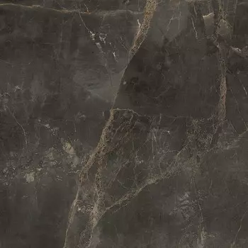 Керамогранит Coliseum Gres Canova dark 596х596х9 мм (3 шт.=1,08 кв.м)