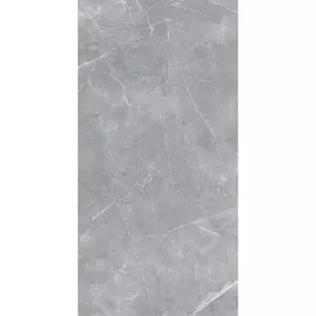 Керамогранит Staro Silk Gilio серый матовый 1200x600x9 мм (2 шт.=1,44 кв.м)