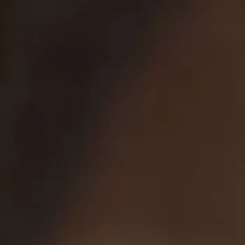 Клинкерная плитка Керамин Амстердам Шейд коричневая 298х298х7 мм (17 шт.=1,51 кв.м)