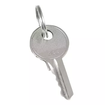 Ключ EKF PROxima для замка 18-16/38-ip31 (20 шт.) (key-2)