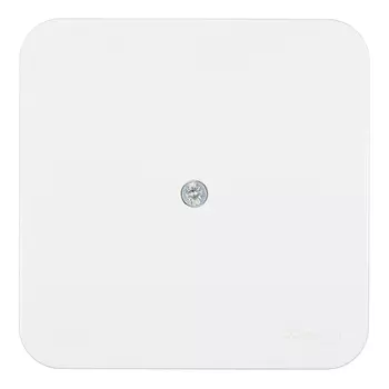 Коробка распределительная Systeme Electric Blanca накладная белая (BLNRK000011)