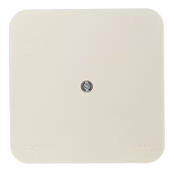 Коробка распределительная Systeme Electric Blanca накладная бежевая (BLNRK000017)