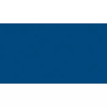 Линолеум спортивный 2х20,5 м Tarkett Omnisports Action 65 Royal Blue