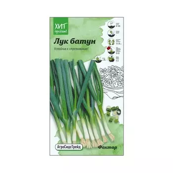 Лук батун Фактор Агросидстрейд 4 г