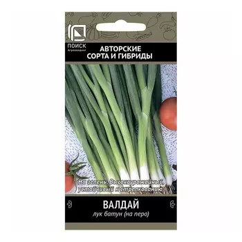 Лук батун Валдай Поиск 1 г