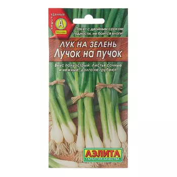 Лук на зелень Лучок на пучок Аэлита 0,5 г