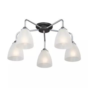 Люстра потолочная Vitaluce Е14 200 Вт 10 кв.м (V4952-9/5PL)