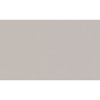 Обои компакт-винил на флизелиновой основе Erismann Basic 60095-05 (1,06х10,05 м)