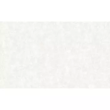 Обои компакт-винил на флизелиновой основе Erismann Benefit Carmen 60768-03 (1,06х10,05 м)