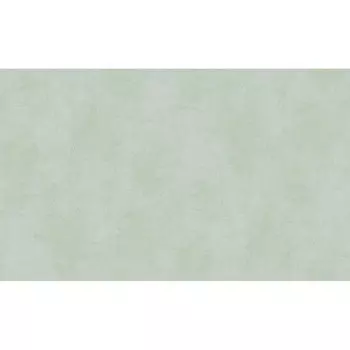 Обои компакт-винил на флизелиновой основе Erismann Nova 60677-06 (1,06х10,05 м)