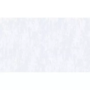 Обои компакт-винил на флизелиновой основе Erismann Palermo 60795-07 (1,06х10,05 м)