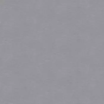 Обои компакт-винил на флизелиновой основе Victoria Stenova Ideal 287389 (1,06х10,05 м)