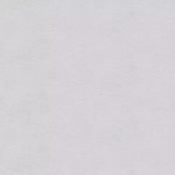 Обои компакт-винил на флизелиновой основе Victoria Stenova Ideal 287388 (1,06х10,05 м)