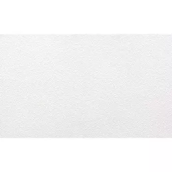 Обои под покраску вспененный винил на флизелиновой основе фактурные Erismann ModeVlies Professional 2706-1 (1,06х25 м) плотность 109 г/кв.м