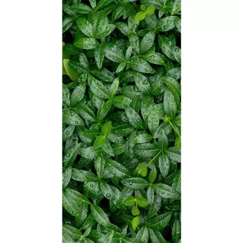 Панель декоративная зеленая глянцевая 2800х1200х6 мм Альбико 3,36 кв.м (GL-5.20 глянец)