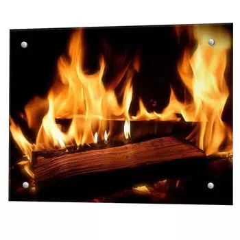 Панель стеновая закаленное стекло для кухни 600х500х4 мм костер