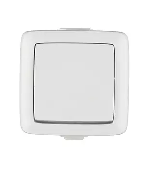 Переключатель Hegel Alfa одноклавишный накладной белый (ВА10-261)
