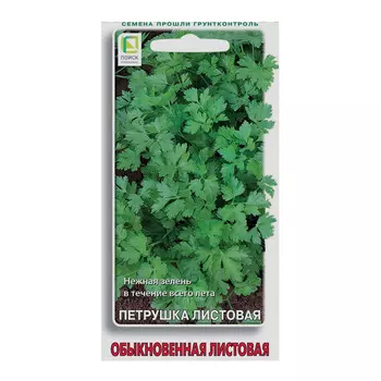 Петрушка Обыкновенная Листовая Поиск 3 г