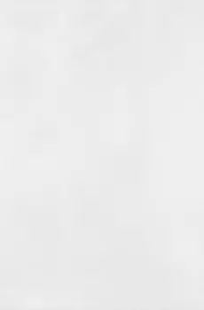 Плитка облицовочная Axima Наварра светло-серая 300x200x7 мм (24 шт.=1,44 кв.м)