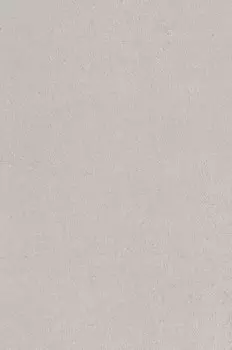 Плитка облицовочная Kerama Marazzi Орсони серая светлая 300x200x6,9 мм (25 шт.=1,5 кв.м)