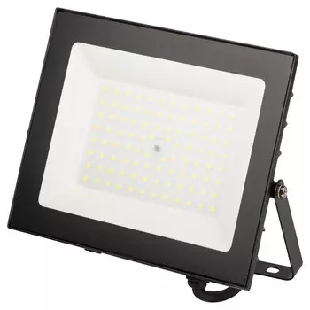 Прожектор светодиодный Эра LPR-062 6500K 70 Вт IP65 черный