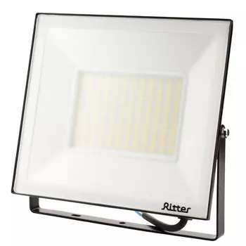 Прожектор светодиодный Ritter Profi 2700К 100 Вт IP65 черный