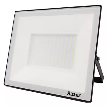 Прожектор светодиодный Ritter Profi 4000К 20 Вт IP65 черный