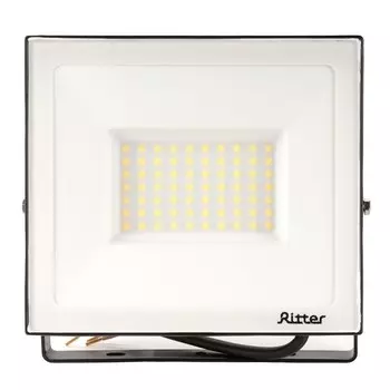 Прожектор светодиодный Ritter Profi 4000K 70 Вт IP65 черный