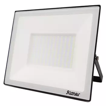 Прожектор светодиодный Ritter Profi 6500К 100 Вт IP65 черный (53410 9)