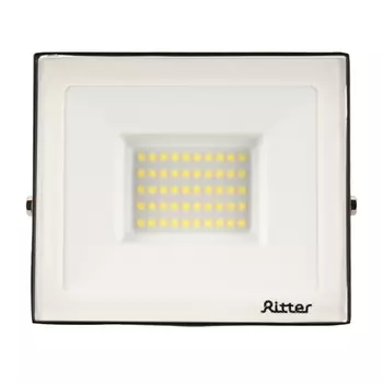 Прожектор светодиодный Ritter Profi 6500K 50 Вт IP65 черный