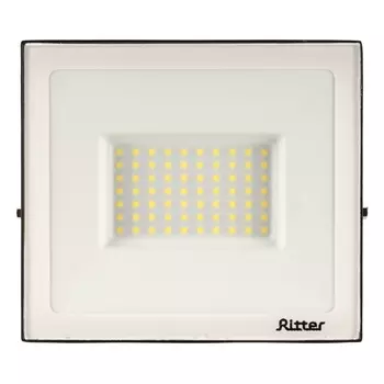 Прожектор светодиодный Ritter Profi 6500K 70 Вт IP65 черный