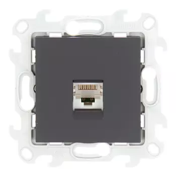 Розетка компьютерная Simon 24 Harmonie встраиваемая графит 2хRJ45 (2410598-038)