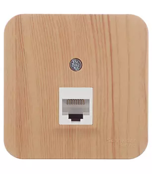 Розетка компьютерная Systeme Electric Blanca накладная ясень RJ45 (BLNIA045005)